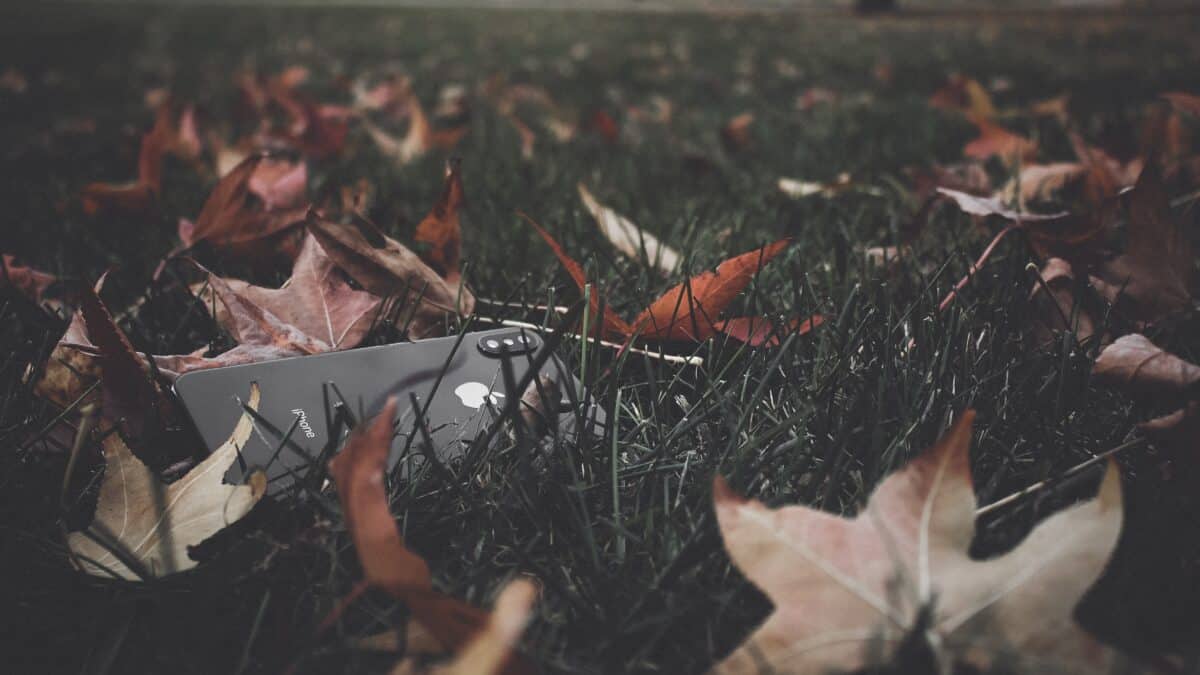 a black iphone on the grass amongst leaves