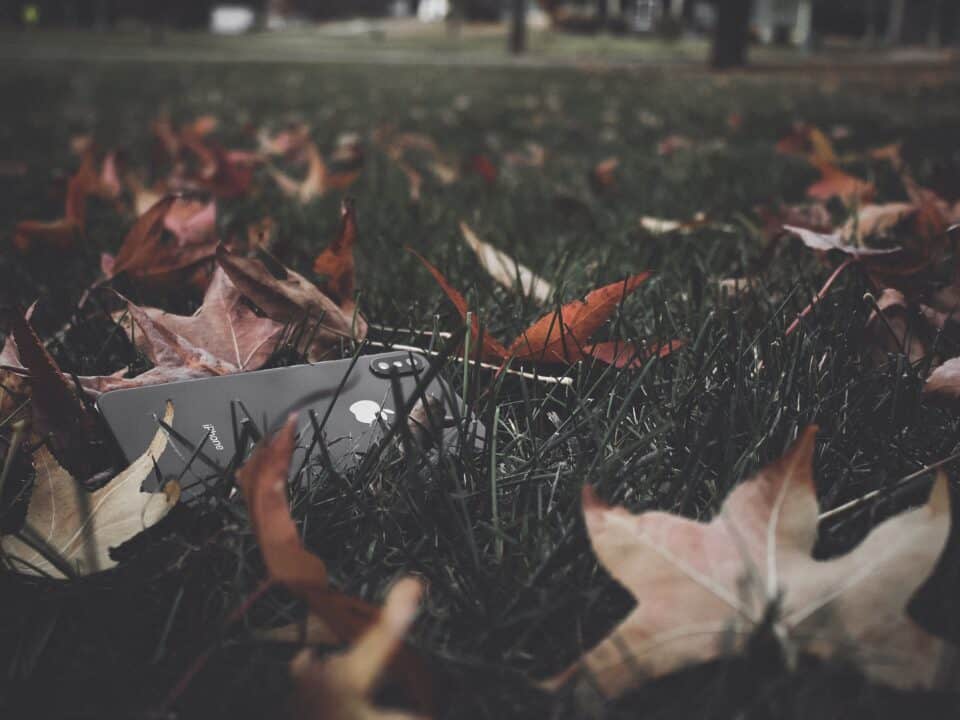 a black iphone on the grass amongst leaves