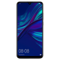 P Smart 2019
