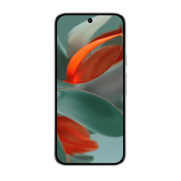 Google Pixel 9 Pro