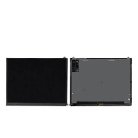 iPad 2 LCD Screen
