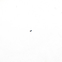 Genuine OnePlus 7 - 7 Pro - 7T Pro - Fixing Screw for Mainboard & Speaker - 1071100211