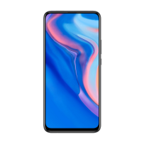 P Smart Z